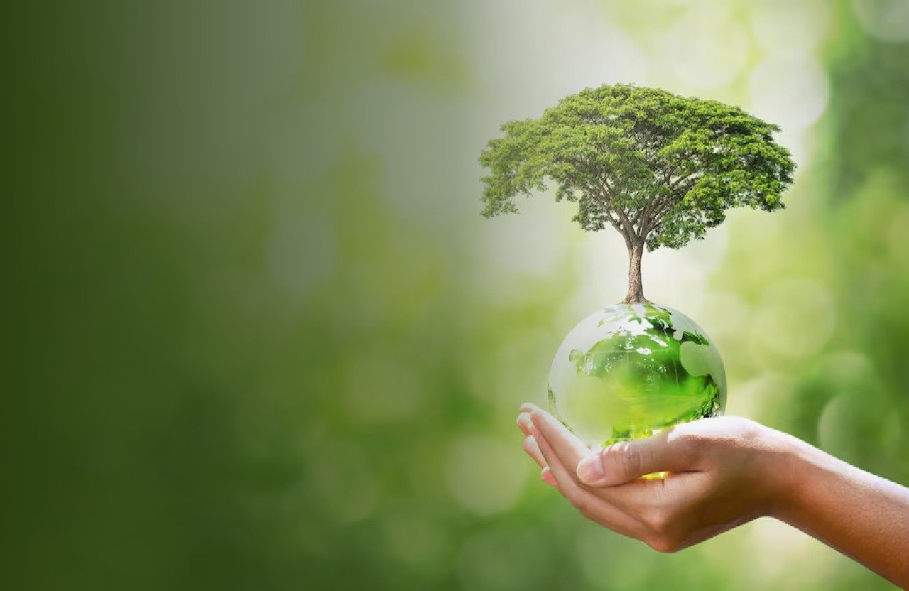 Environmental Sustainability